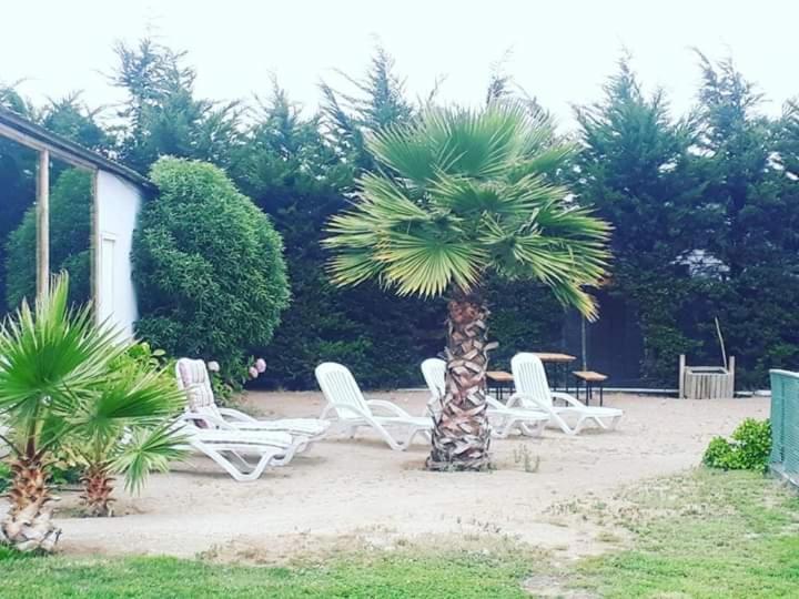 פיצ'ידנגי Hotel Del Valle Quilimari מראה חיצוני תמונה