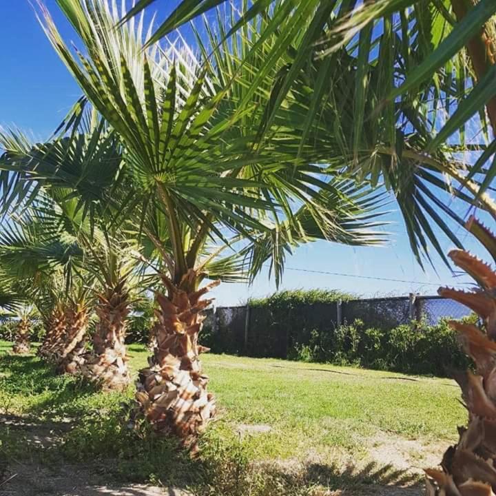 פיצ'ידנגי Hotel Del Valle Quilimari מראה חיצוני תמונה
